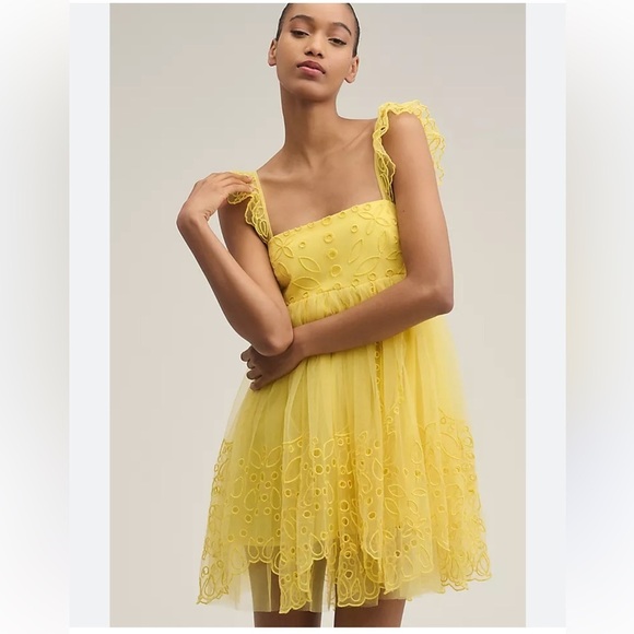Anthropologie Dresses & Skirts - Anthropologie Let Me Be Eyelet Tulle Mini Dress